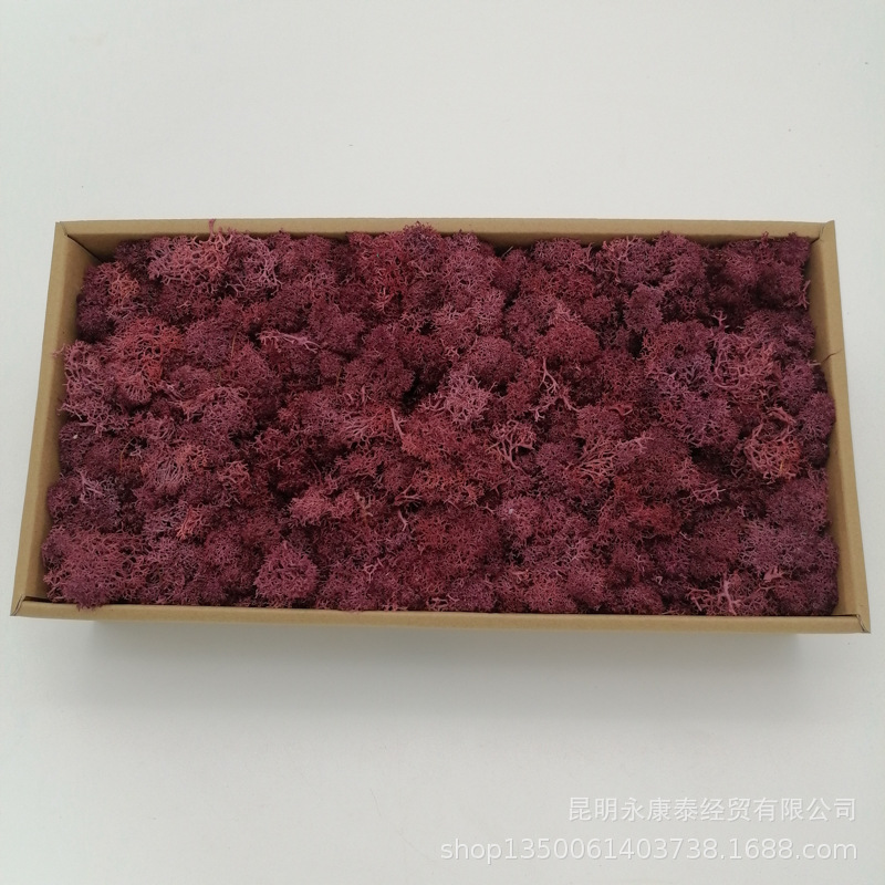 Musgo al por mayor de musgo peso neto 200g caja de regalo flores de musgo eternas accesorios para el hogar tiro ventas directas de la fábrica