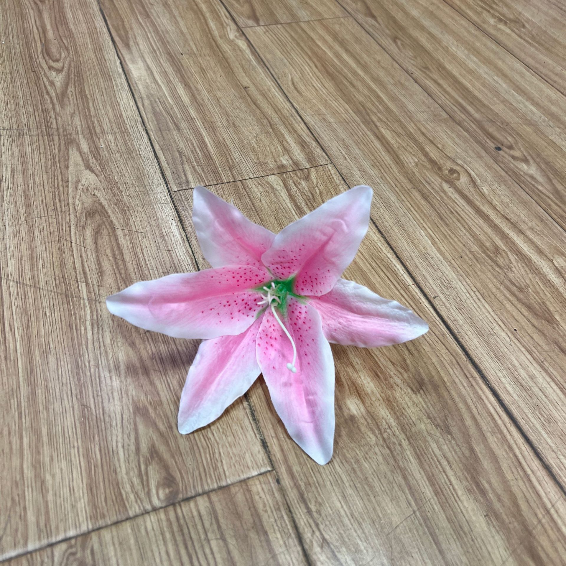 가벼운 분말 (코어로 끝나지 않음)