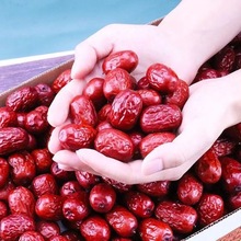 新疆若羌红枣新货500g包装零食厂家批发新疆特产干果红枣批发