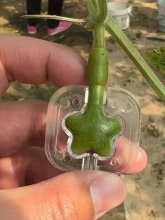 2025�¿�С���ǲ������J����ݽz�������J���L���ⶨ��ģ�ߴ�ȫ