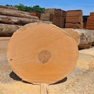 ���½�z�ְ�� ��ľԭľ ��z��ԭľ �����Ժ� �����S̴ �R���z