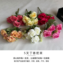 SֱN5涡 ͏d[c滨b羳Nٻ