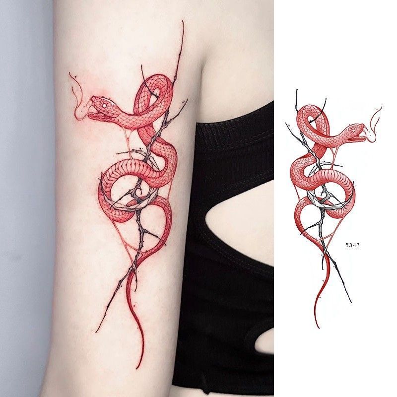 Encounter Snake Thorns Tattoo Hot Girl Sweet and Pure Desire Wind Dark Red Love Thigh Arm Waist Waterproof Encounter Snake Thorns Tattoo Hot Girl Sweet and Pure Desire Wind Dark Red Love Thigh Arm Waist Waterproof