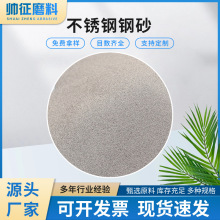 厂家批发合金钢丸 强化钢丸钢砂 抛光砂铸钢砂研磨碳化硅微粉