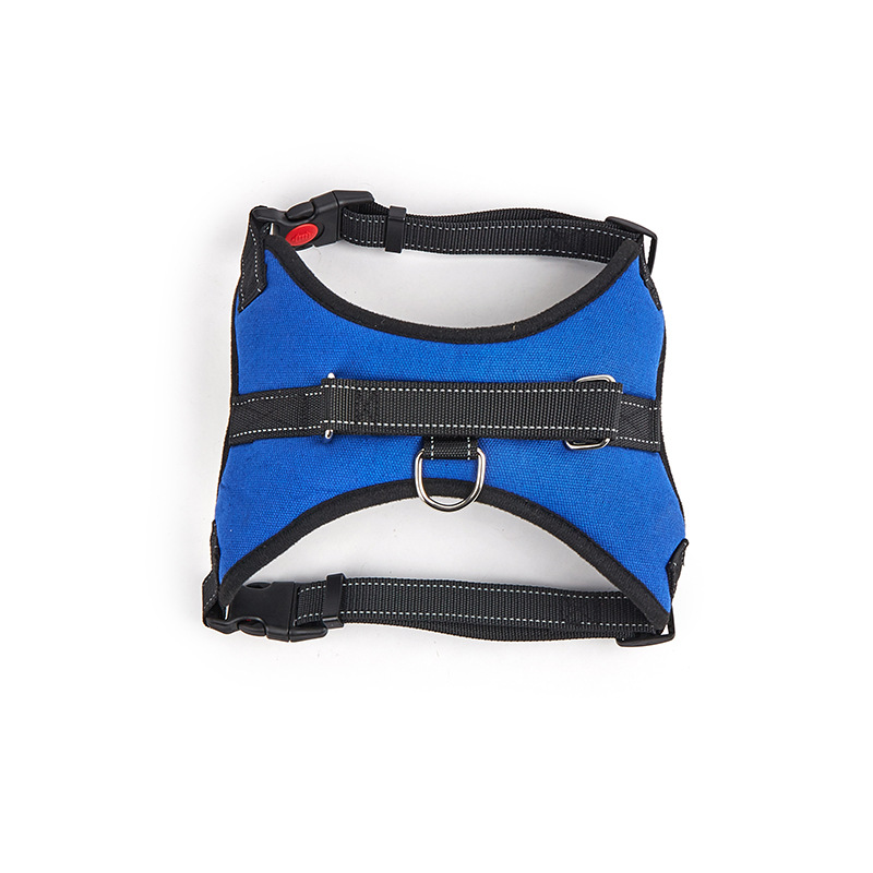 파란색 안장 스타일의 가슴과 등