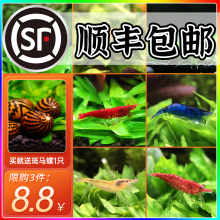 �ښ��r�����r�r���^�p�r��ˮ�����r�ѻ��r�O���rˮ���r�~���坍�r