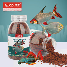 ~ʳԭ~^p~Сw~ZѪxС~ճNl~