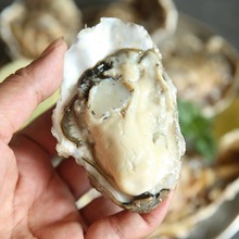 ��ɽ������r�r���̖����ĵϠ�������ʳ��ؐ�ˮ�a���ß���ʳ��