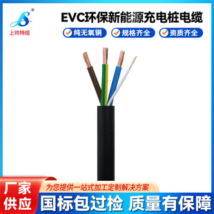 Manufacturer Customized Evc Charging Pile Cable Ev Charging Gun Cable Ac Fast Charging New Energy Vehicle Charging Cable