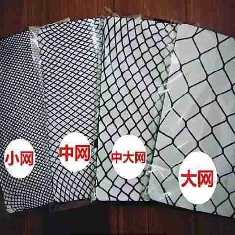 작은 그물 검정