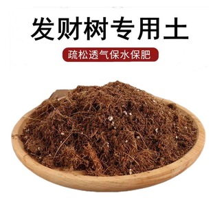 Money Tree Special Soil, Happiness Tree, Money Tree, Breathable Breeding Plant, Universal Indoor Original Planting Soil Particles