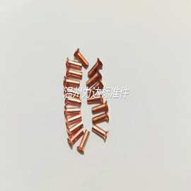 生产各种紫铜铆钉,紫铜非标件,紫铜螺丝 铜螺丝 铜非标加工