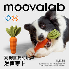 MoovaLabô�۹����ĥ�������}�����｡�X�␞��ҧ��С�д�Ȯ