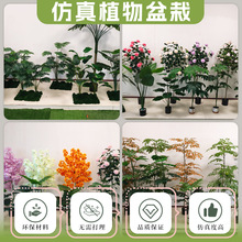 ����Gֲ�[���̨���ͷ���ֲ�����Ԕ[��ֲ��M�Ͽ͏d�bGֲ�辰