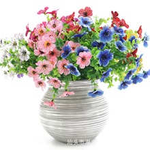 ���R�d�羳�ȼ������_�m�����m�������ֲ��Gֲ�＾�Ҿӽ��X�~