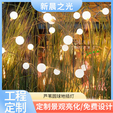批发芦苇圆球地插灯户外防水亮化工程草坪灯园林花园装饰芦苇灯