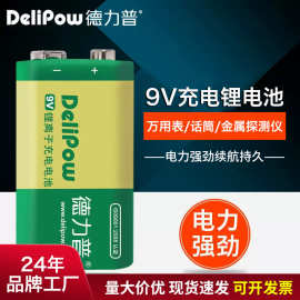 德力普9V锂电充电电池800mah万用表电子仪表电池9伏6F22方形电池