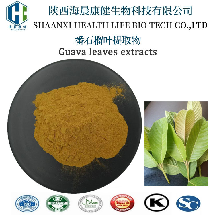 番石榴叶提取物10:1番石榴黄酮水溶性番石榴叶喷干粉包邮海晨康健