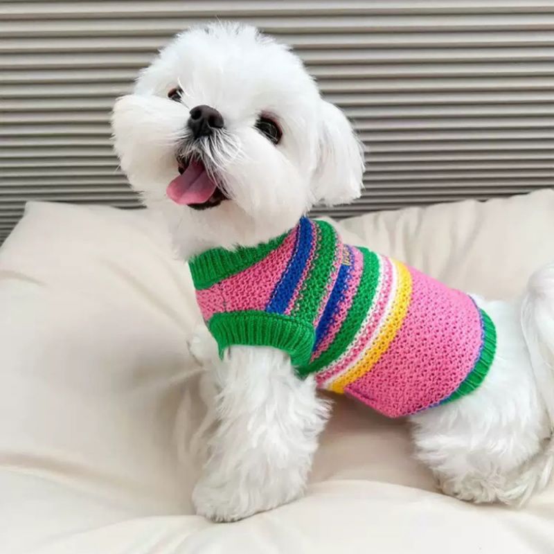 고양이, 슈나우저, 프렌치, 비숑 프리제를 위한 가을 겨울 니트 스웨터 조끼 중소형견용 강아지 옷