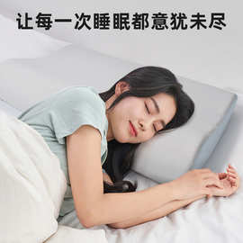 透气凉感冰丝枕芯枕头可机洗硅胶记忆枕甩干不变形睡眠塌陷单人