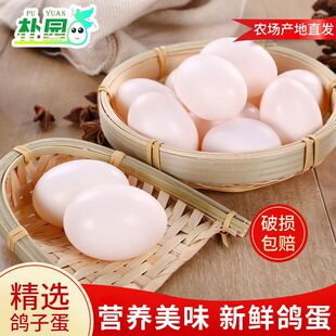 ���r����10ö-59öɢ�B�����Ћ��I�B�oʳ