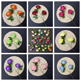 �S�����l����3�^¶ɏ���Ҿ��b��Ĕz���߷��滨 ��c·������廨