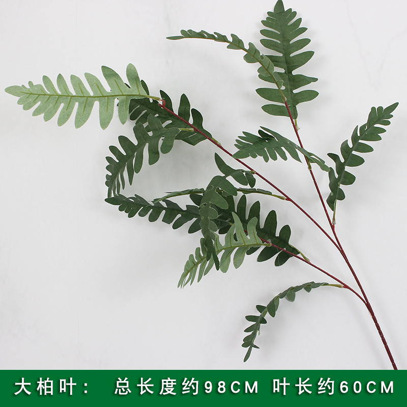 Large cypress leaf