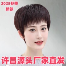 2025�¿�ٰl������ȫ�^��Ůʿ���˰l�z��ֱ�l�p�g��Ȼ�o��ȫ��l