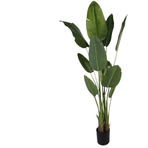 Amazon's new artificial simulation traveler's banana green p