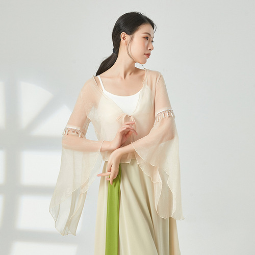 Classical dance dance clothing women's gauze Chinese dance fairy pearl elegant top performance clothing practice clothing