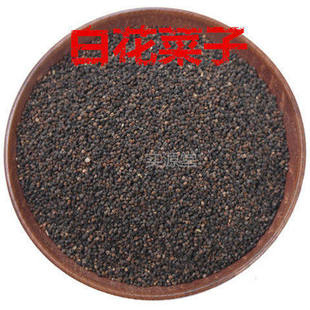 �׻����� Ұ���׻����Ѱٻ����Ѻ�؛��؛