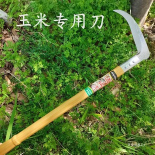 ���l砵��L��砵���ݵ����ݸ�砵�������ˮ�����Ӵ��砵��p���