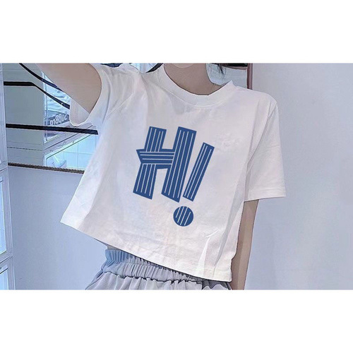 Short-sleeved women's T-shirt 2025 summer new design slim fit regular shoulder height raising small upper garment