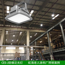 led防爆泛光灯 涂料厂照明灯具 带防爆证 免维护 100W 150W 200W