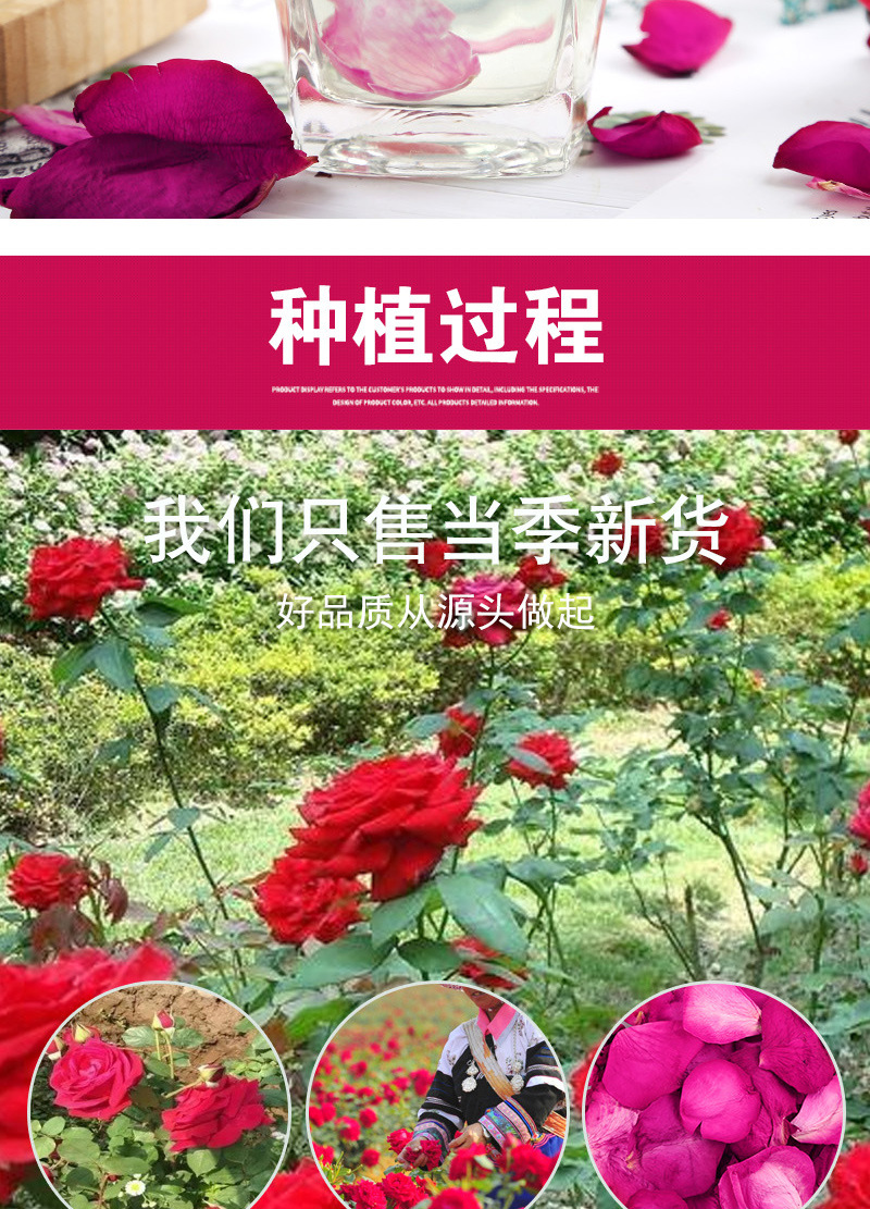 Yunnan Red Rose Petals (Rosa rugosa) — Dried Edible Rose Petals for Tea, Bath & Foot Soak in use