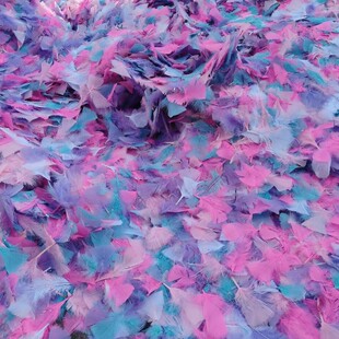 ����Ƭ��ɫ�����uë���Q�Y�Д��a