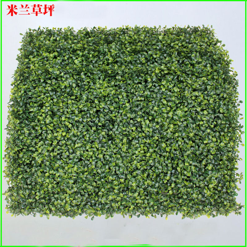 3304455542_2023292558