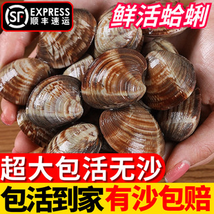 ʮ����r���S͘��Ұ��oɳ�����ش���ۻ����ĸ򻨼�ؐ��r��ؐ