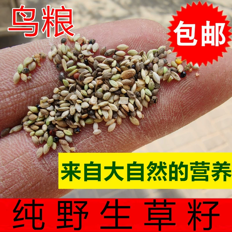 Кормление птиц семян травы волнистый Попугайчик корм Xuanfeng корм для птиц с оболочкой Желтый Просо пион птица еда Смешанная еда птицы