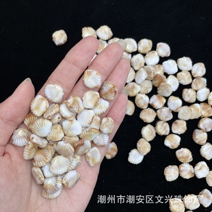 11*13mm�pɫؐ����diy����֙C�܇���Ʒ��������W�t�����l