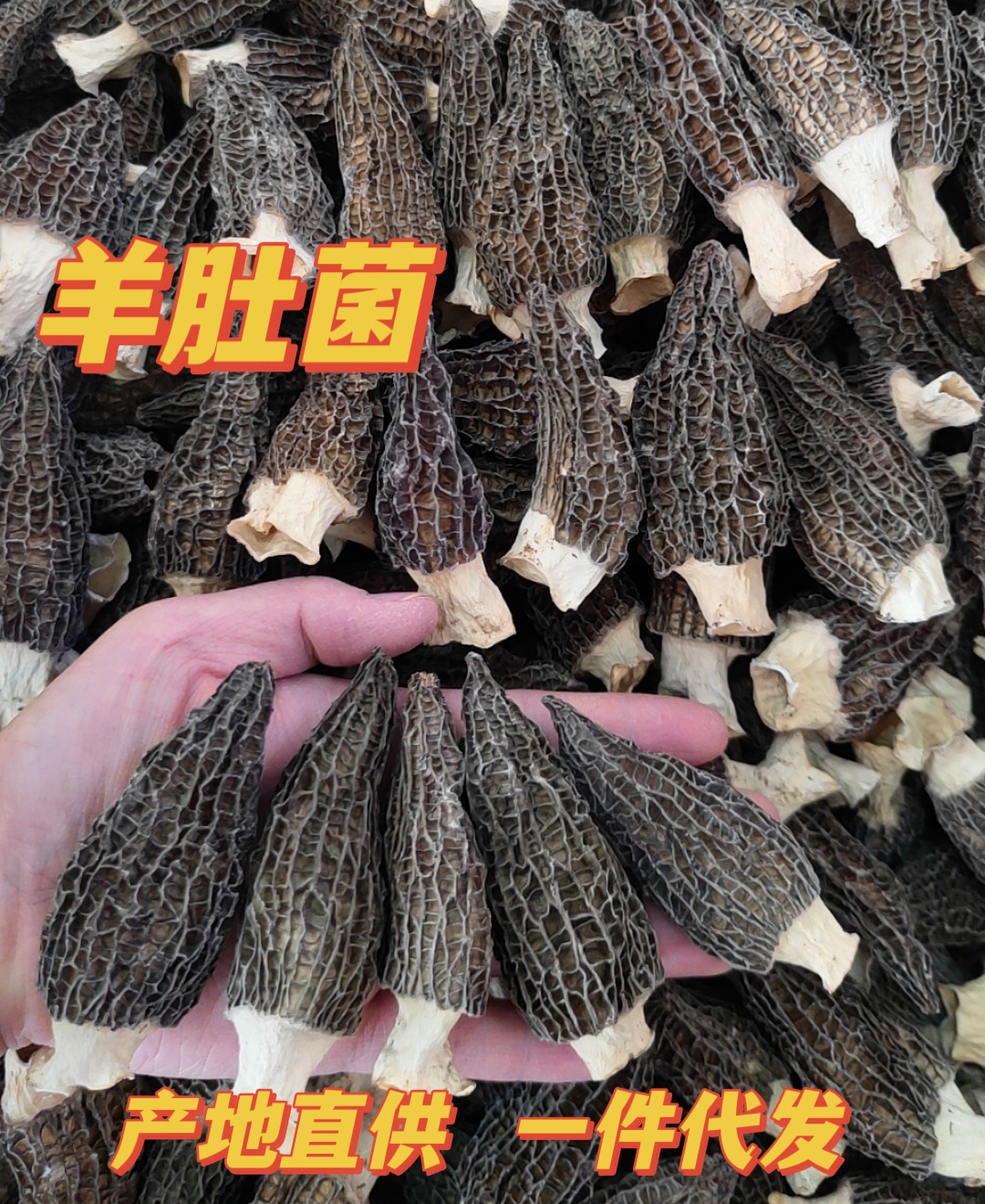 975f27b85cb0ed1dc48e055d62d149