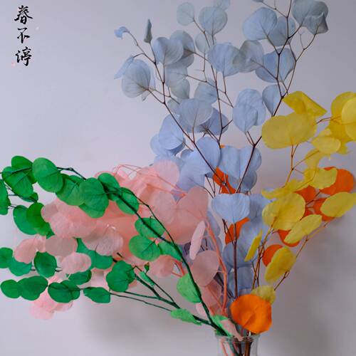 Preserved flower apple leaf manufacturer wholesale apple leaf round leaf eucalyptus preserved flower dried flower bouquet home decoration