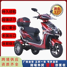 电动三轮车;两轮摩托车;电动摩托车