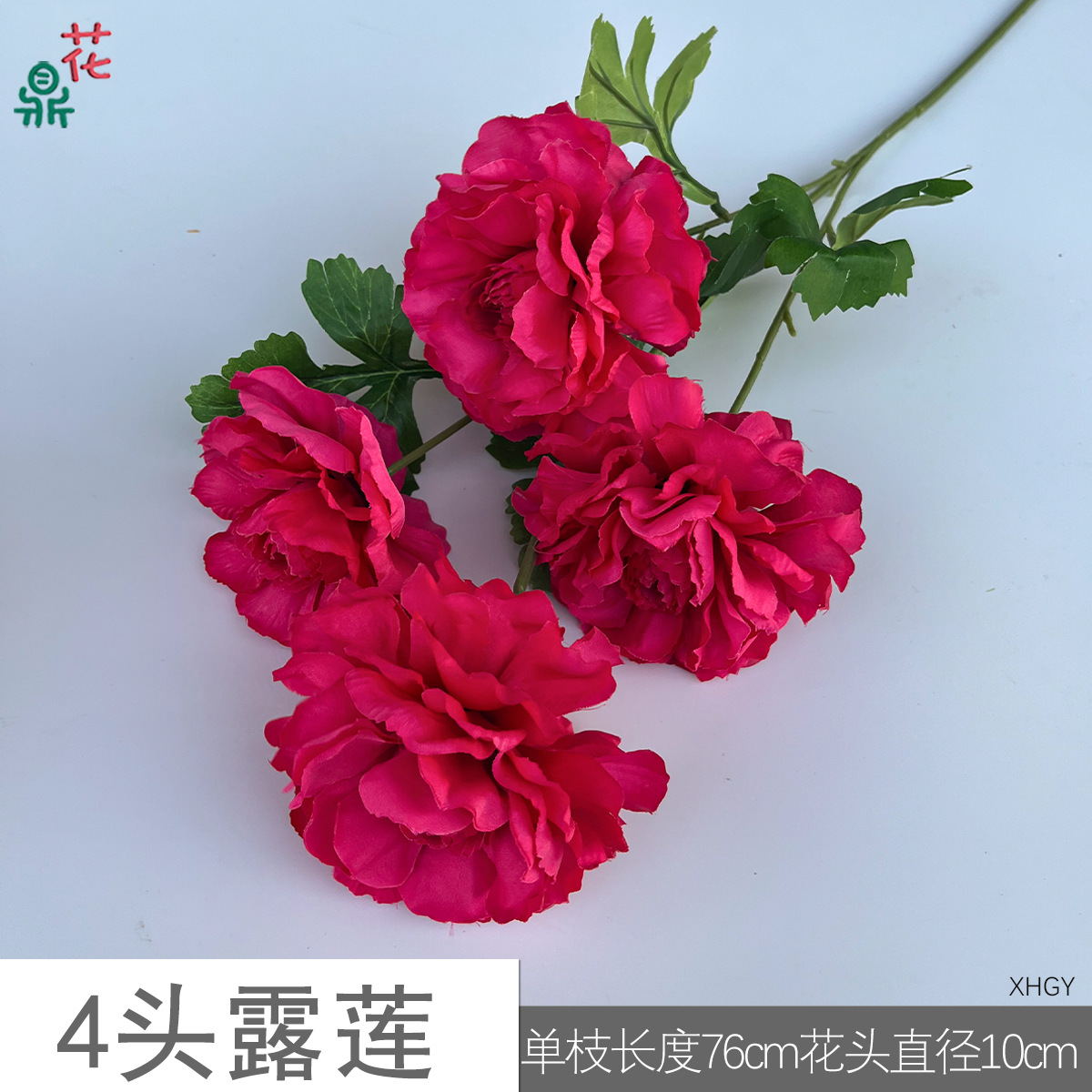 4두 노련 XHGY 마젠타 핑크