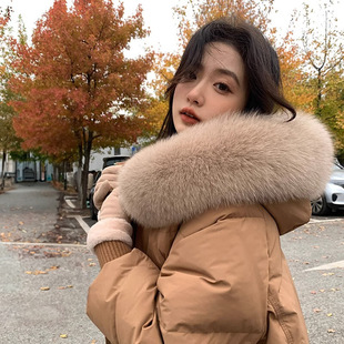 ��q��Ů2024���¿����L��r������ë�I�OӋС���@�ݿ�Ӻ񶬼�