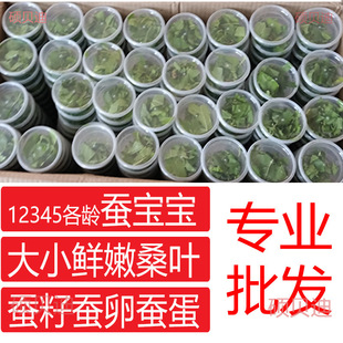 �Q����ɣ�~ι�Q���rɣ�~�Q��1234�g��Ȼ���߲ʌW���B�Q���b���Q�O