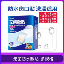 ϺZtßoN 20Ƭ̖͸zg󄓿NڷˮN