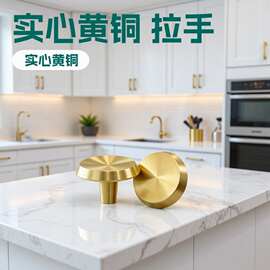 金色柜门拉手实心黄铜橱柜抽屉大衣长把手现代简约北欧轻奢单孔
