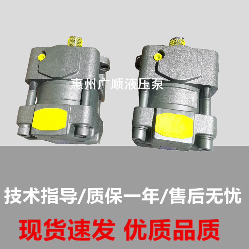 齿轮泵QT62-80F-BP-Z QT62-100E-SV-Z注塑机液压泵QT6N-125F-SV-Z