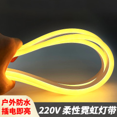 高電圧 220v ライトストリップ LED ライトストリップ柔軟なシリコーン 12v 低電圧 rgb ネオン雰囲気ライト屋外防水クロスボーダー
